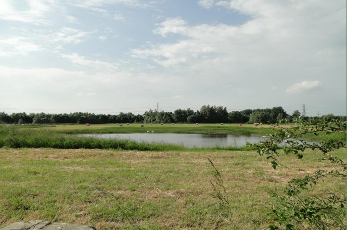 prairie Amigny-Rouy